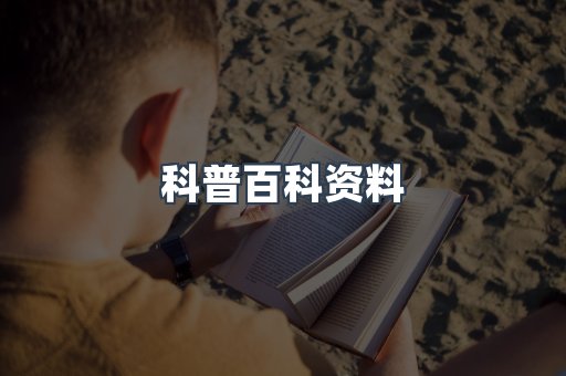 外文电子书系列